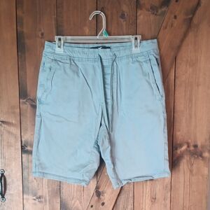 Hollister Men's Light Blue Flat Front Shorts